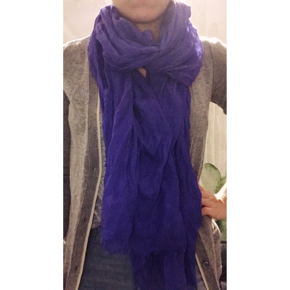 J.Crew Blue Purple Scarf